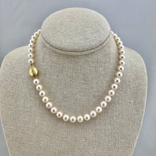 Load image into Gallery viewer, Akoya Pearl Strand Necklace