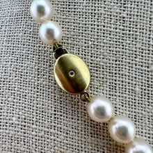 Load image into Gallery viewer, Akoya Pearl Strand Necklace